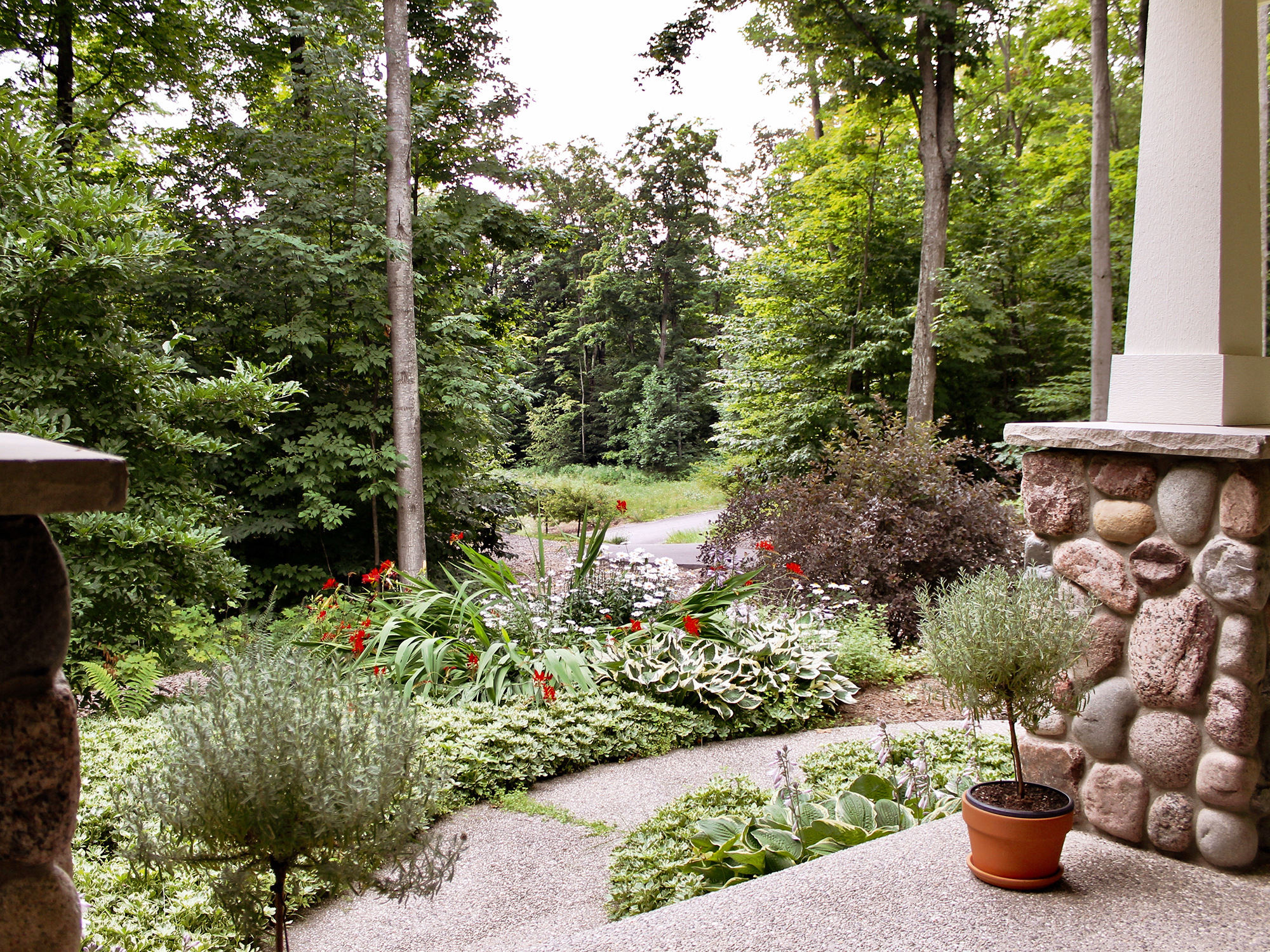 view from new construction home in Glen Arbor Northern Michigan residential on wooded lot