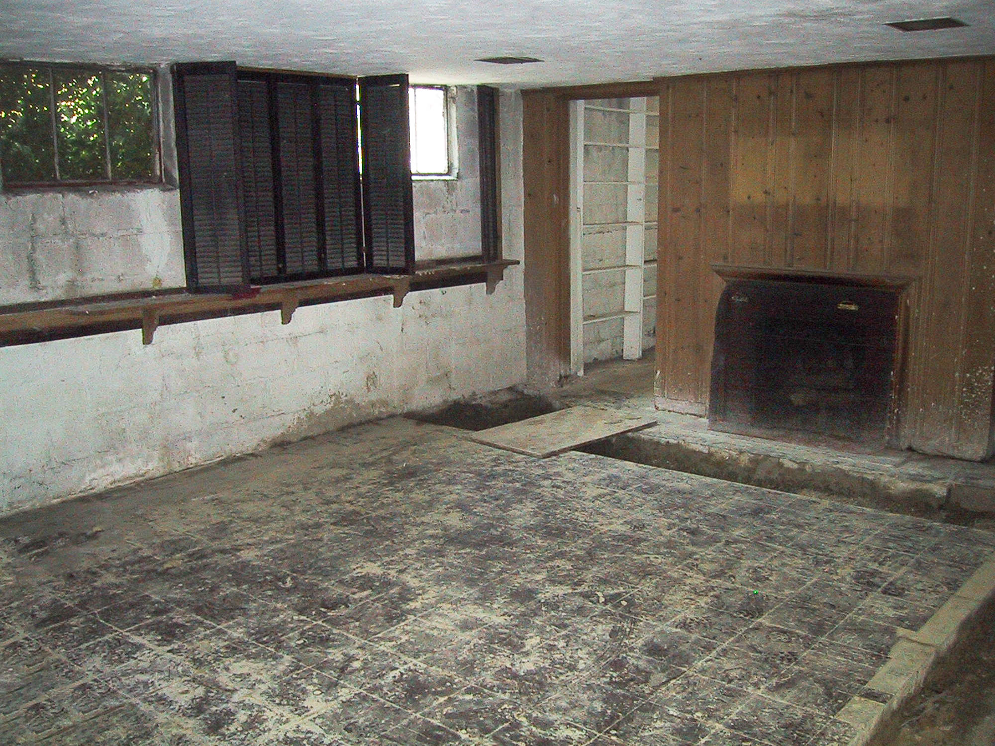 Unfinished basement 